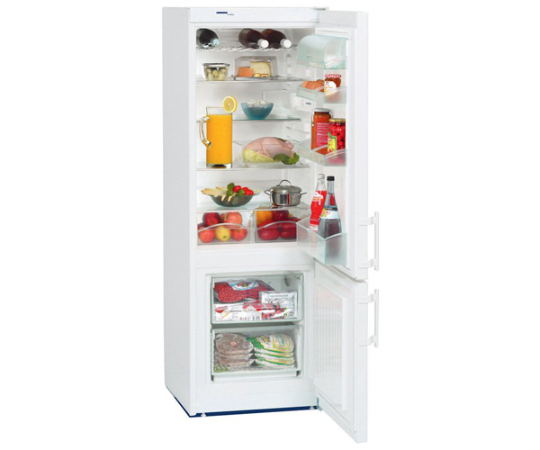 Холодильник Hansa BK316.3AA.jpg
